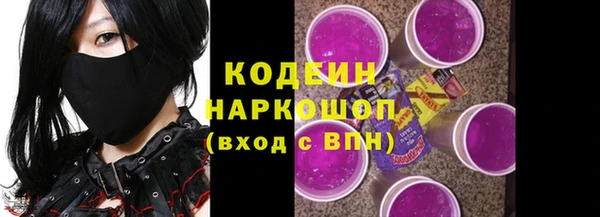 стаф Арсеньев