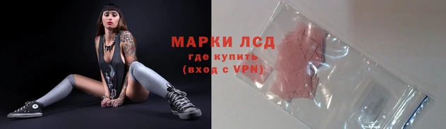 стаф Арсеньев