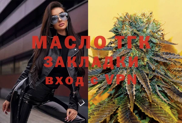 стаф Арсеньев