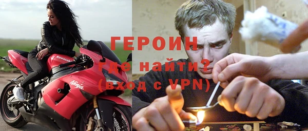 прущие грибы Осинники
