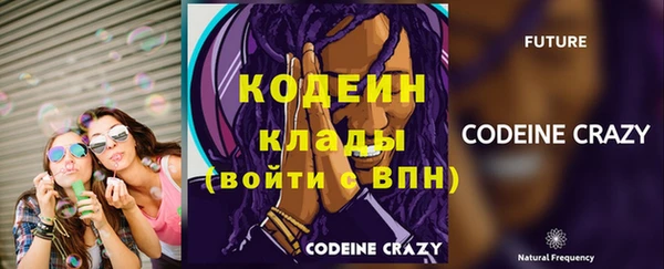 стаф Арсеньев